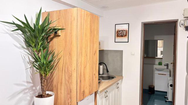 Apartament Boho Stare Miasto Neu Sandez Exterior foto